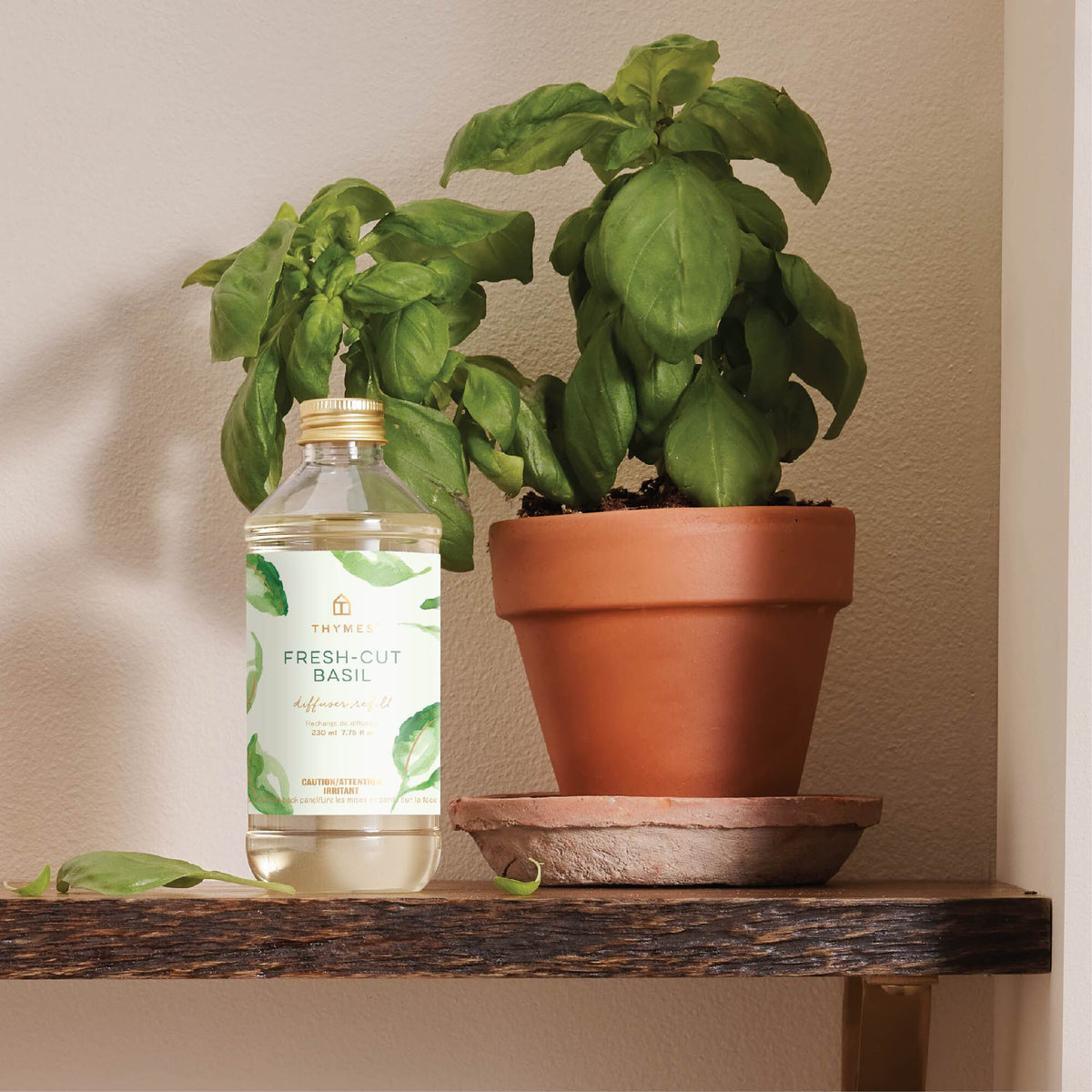 Fresh-Cut Basil Reed Diffuser Oil Refill