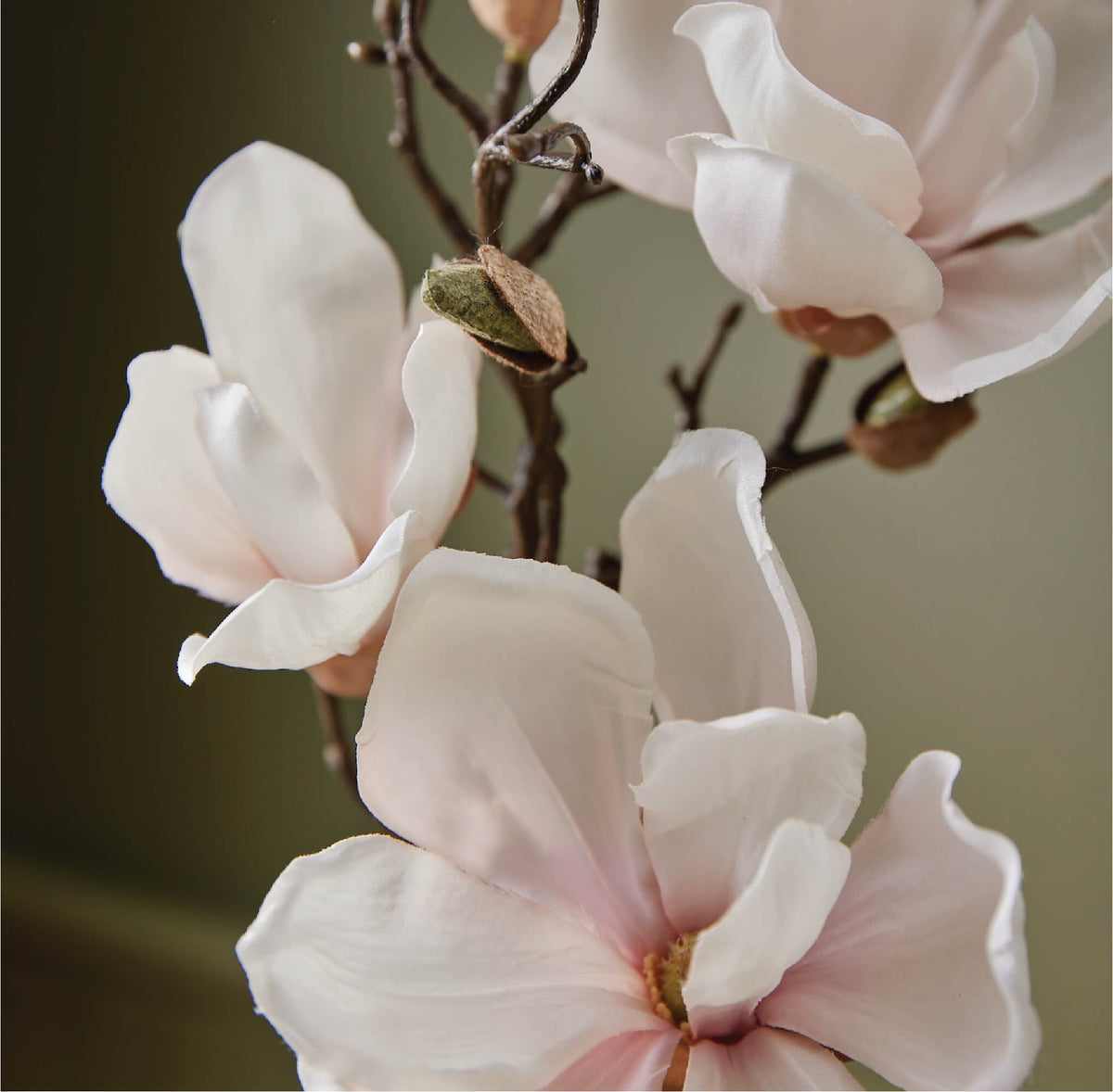 Magnolia Willow Poured Candle