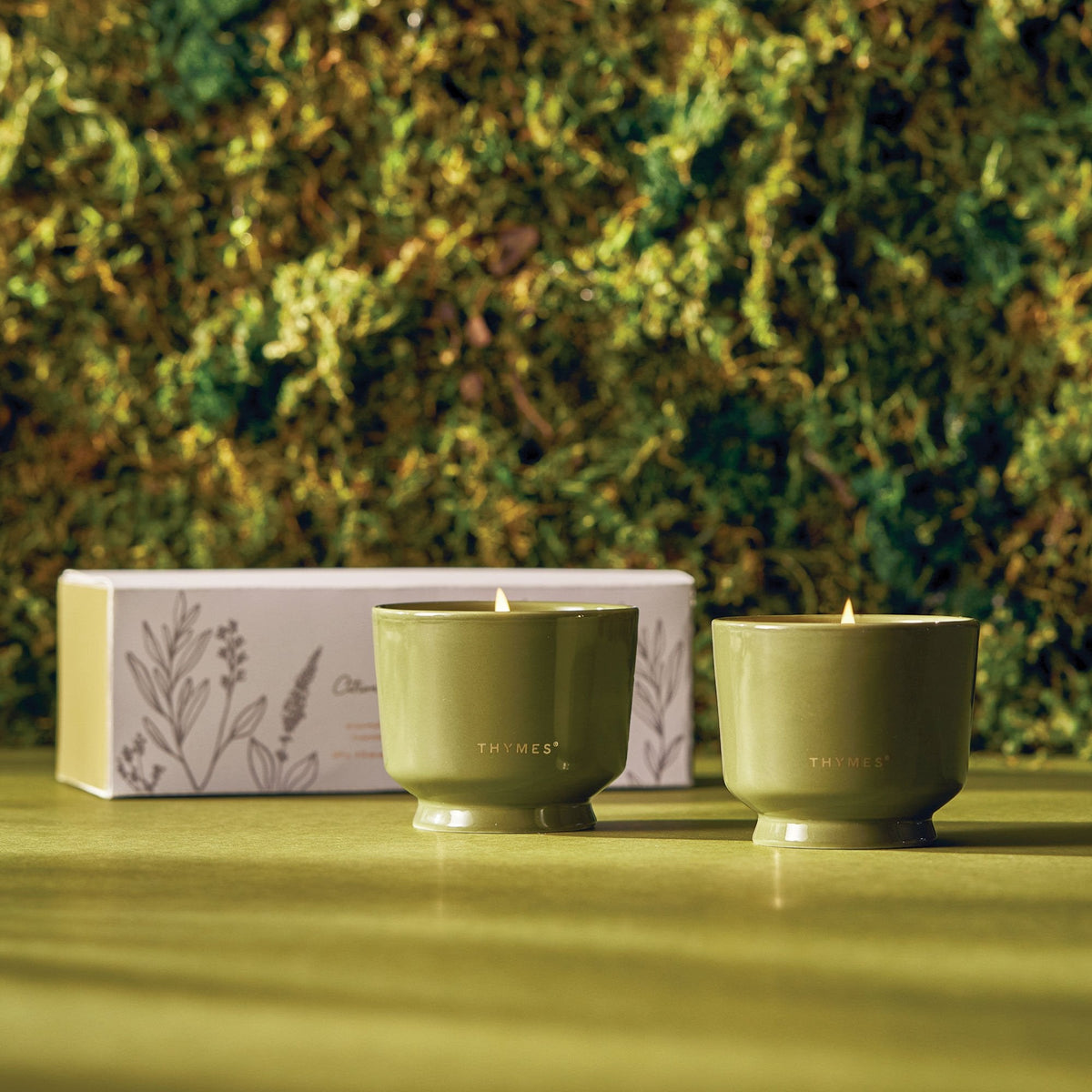 Outdoor Oasis Citronella Grove Aromatic Candle Set