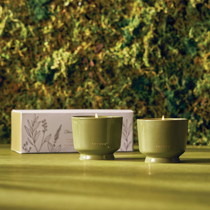 Outdoor Oasis Citronella Grove Aromatic Candle Set