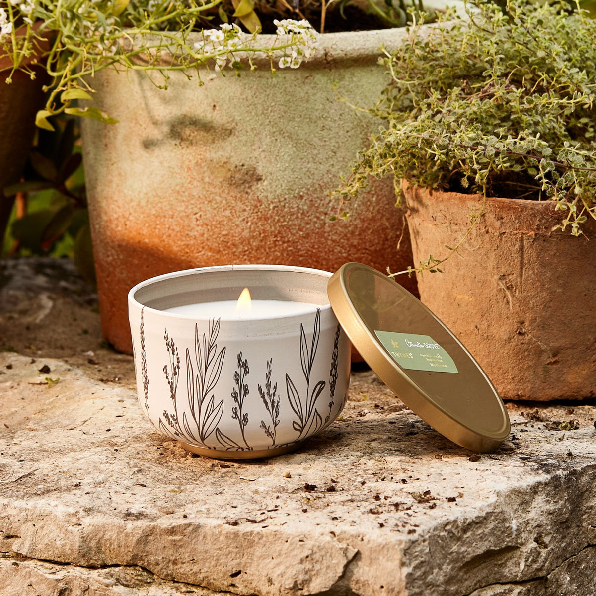 Outdoor Oasis Citronella Grove Poured Candle Tin with Gold Lid